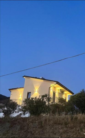Dente di Leone San Mauro Cilento